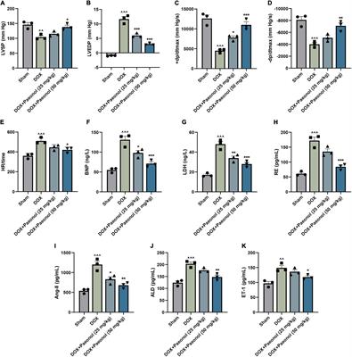 Cardioprotective Effect of Paeonol on Chronic Heart Failure Induced by Doxorubicin via Regulating the MiR-21-5p/SKP2 Axis